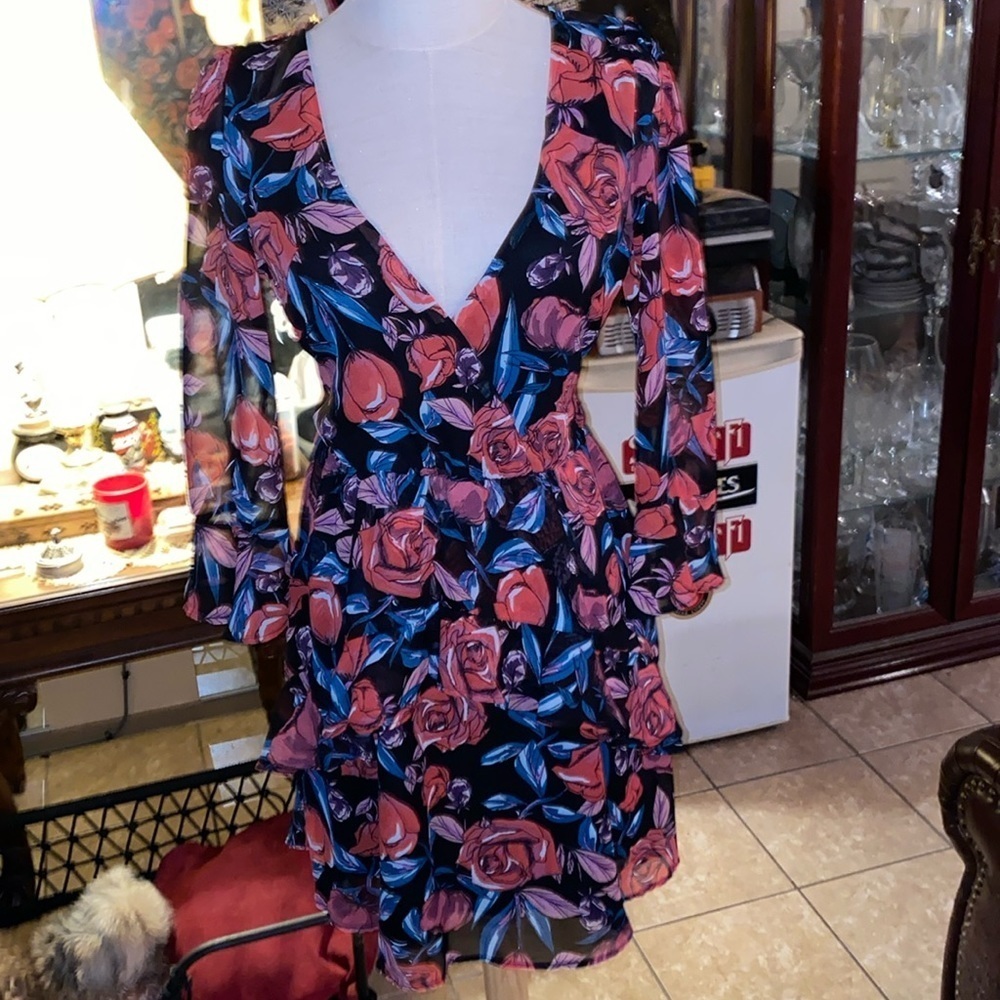Row A NWOT black with red roses dress 18” long from weist down 19 inch sleeve